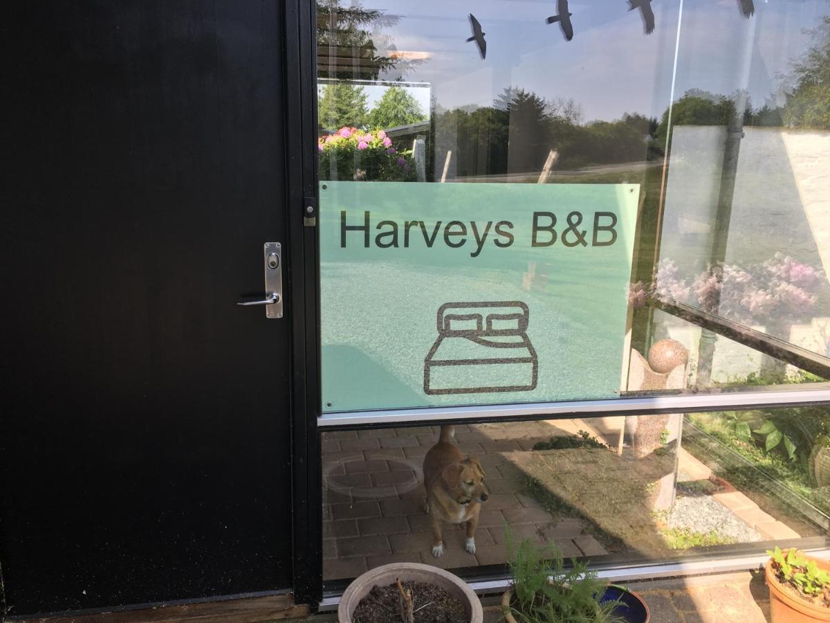 Harvey'S Bed & Breakfast Йеррінґ Екстер'єр фото
